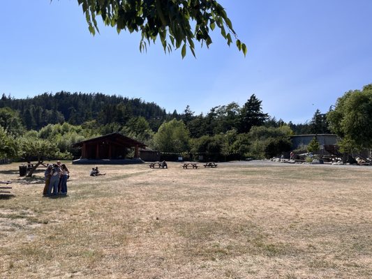 Orcas Island Farmer's Market by null