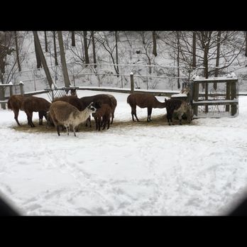 High Park - You have to have a nice coat to survive this cold - Parks Near Me - Toronto, Ontario