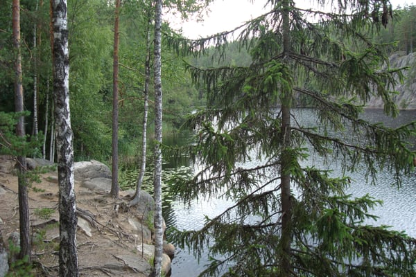 Nuuksio National Park by null