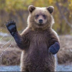 James H. Platt Park - Jer Bear says, "Hello!"