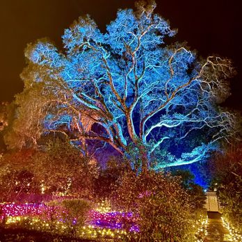 Filoli - Winter 2022 - Botanical Gardens Near Me - Woodside, California