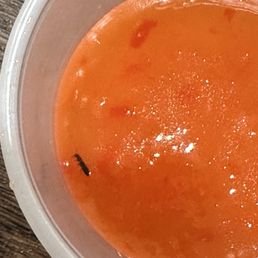 Bug in my dipping sauce Bug in my dipping sauce