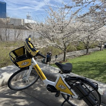 Pacers Bike Share - Perfect day for a bike ride!! - Bike Sharing Near Me - Indianapolis, Indiana Pacers Bike Share - Perfect day for a bike ride!! - Bike Sharing Near Me - Indianapolis, Indiana
