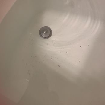 The Drake - Had to clean the tub multiple times - Hotels Near Me - Chicago, Illinois The Drake - Had to clean the tub multiple times - Hotels Near Me - Chicago, Illinois
