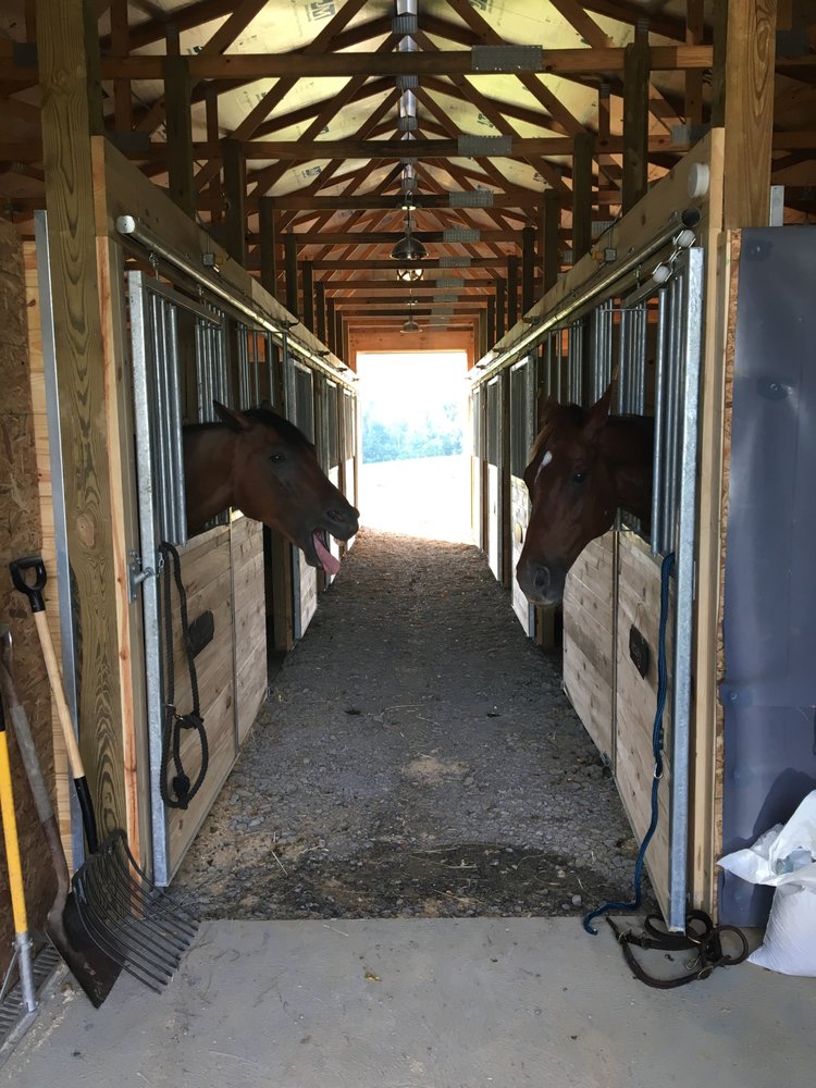 Manchester Farms - equestrian in Avella, PA