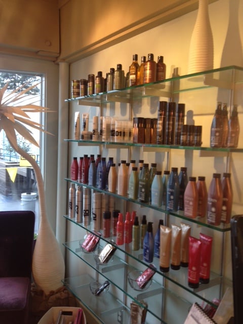 Posh Salon Image