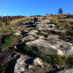 Trails and Tales - This is what you can expect to see in Dublin with Trails and Tales.