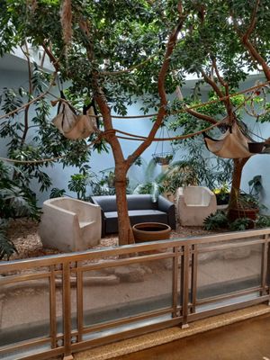 Cheyenne Mountain Zoo by null