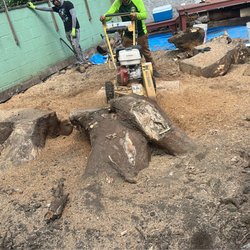 Santos Tree Services