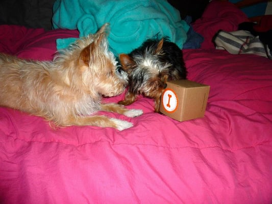 Sprinkles The Grove by null