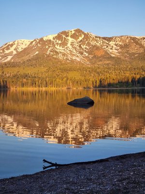 Fallen Leaf Campground by null