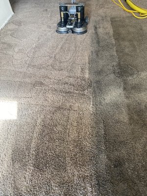Carpet Cleaning - Before and Afters - A To Z Sparkling Carpet Cleaning is a company that specializes in carpet cleaning in both residential and commercial settings. If you want to make sure that your carpets are as clean as possible, then contact Los Angeles's carpet cleaning experts today. We'll be happy to schedule an appointment, or simply answer any questions you might have. We're looking forward to hearing from you!