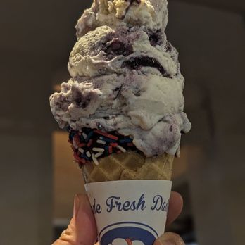 Handel’s Homemade Ice Cream - Blueberry Cobbler with sprinkle cone (small) - Ice Cream & Frozen Yogurt Near Me - Irvine, California