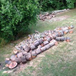 Arborscapes Tree Service