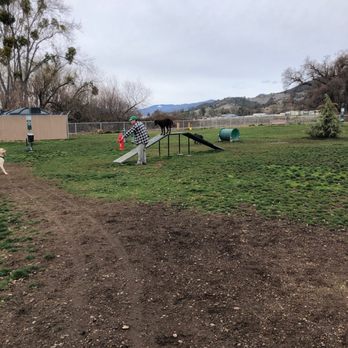 Dog Parks - Gypsy - Dog Parks Near Me - Nice, California