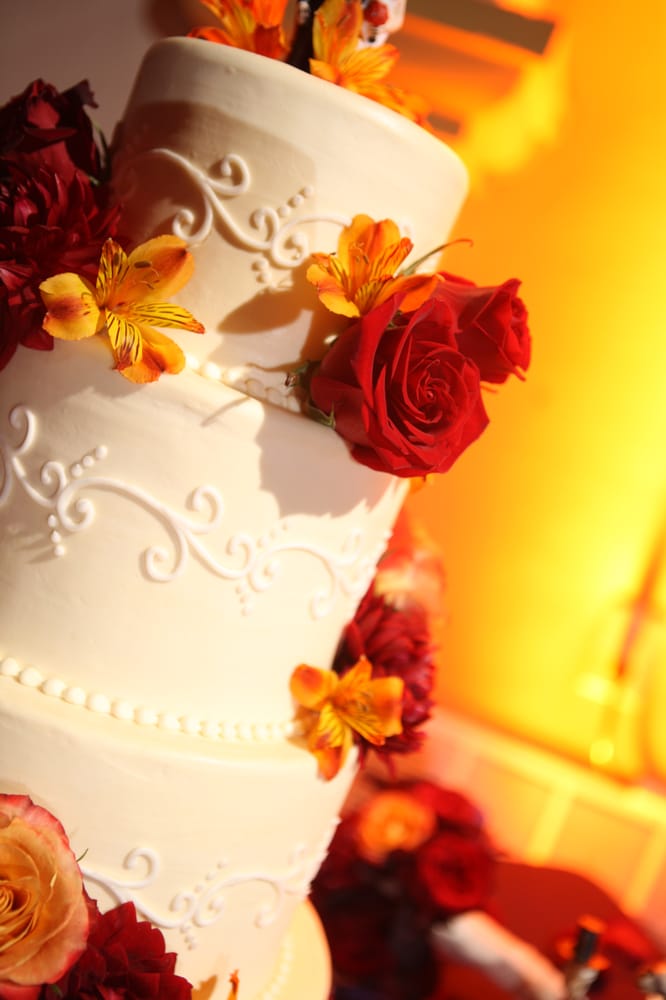 Art with Nature Design