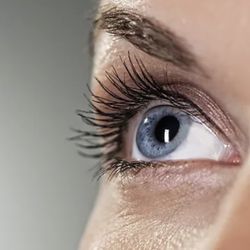 Marin Lash Fairy