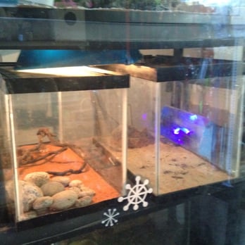 Pet Center - Pet Stores Near Me - Tijuana, BCN Pet Center - Pet Stores Near Me - Tijuana, BCN