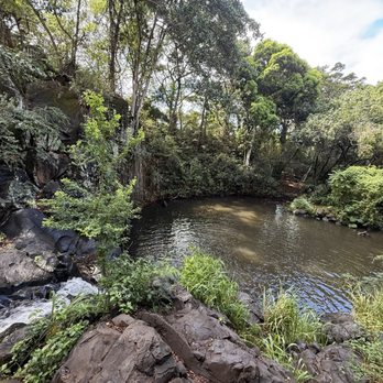 Kapena Falls - Local Flavor Near Me - Honolulu, Hawaii