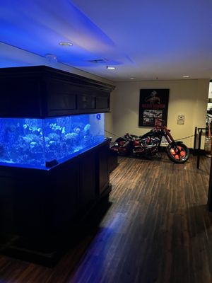 Killer Shrimp by null