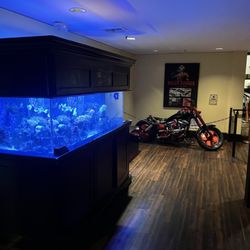Killer Fish Tank and Bike