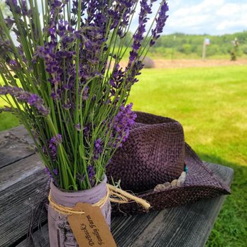 DeBucks Family Farm - U Pick lavender. $25/jar - Pumpkin Patches Near Me - Belleville, Michigan DeBucks Family Farm - U Pick lavender. $25/jar - Pumpkin Patches Near Me - Belleville, Michigan