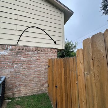 Raul The Bees Guy - Infected area - Pest Control Near Me