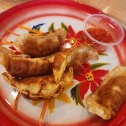 Thai Land - Thai potstickers/dumpligs