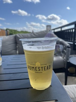 HOMESTEAD - Updated February 2025 - 95 Photos & 93 Reviews - 420 Vision
