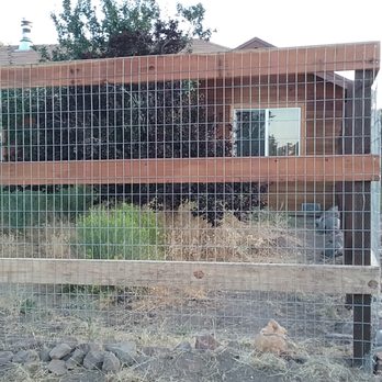 SIlver State Fence and Stain - apparently its okay to use remnants from previous jobs so i now have a colorful fence - Fences & Gates Near Me - Reno, Nevada SIlver State Fence and Stain - apparently its okay to use remnants from previous jobs so i now have a colorful fence - Fences & Gates Near Me - Reno, Nevada