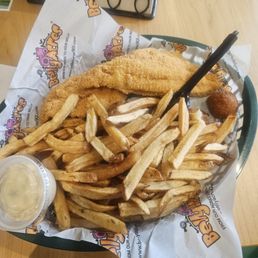 Catfish