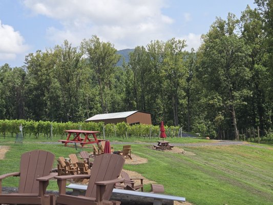 Chester Gap Cellars by null