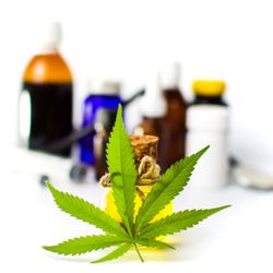 Medical Marijuana Of Melbourne Certification - Medical Marijuana comes in many forms