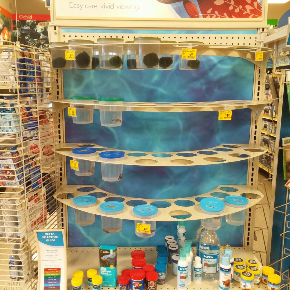 PetSmart - Not finding any Betta love here. - Pet Stores Near Me - Tempe, Arizona PetSmart - Not finding any Betta love here. - Pet Stores Near Me - Tempe, Arizona