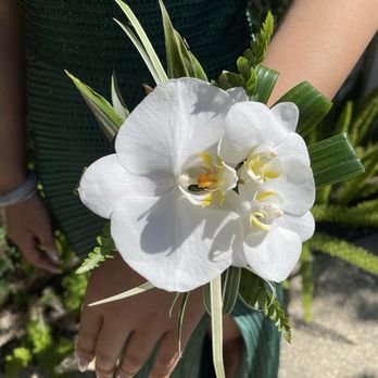 Edstraordinary Lei & Flowers - Floral Designers Near Me Edstraordinary Lei & Flowers - Floral Designers Near Me