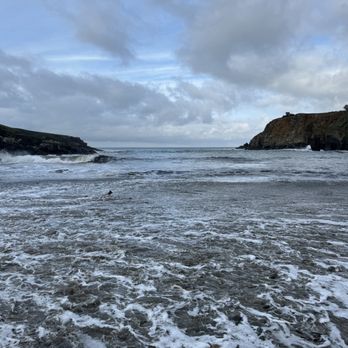 Salt Point State Park - Stump Beach - Parks Near Me - Jenner, California