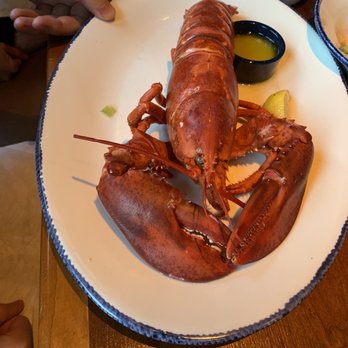Red Lobster - Seafood Near Me - Tigard, Oregon