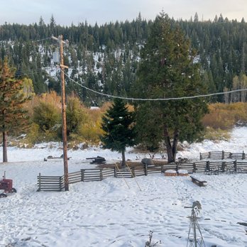 Sierra Woods Lodge - Hotels Near Me - Emigrant Gap, California Sierra Woods Lodge - Hotels Near Me - Emigrant Gap, California