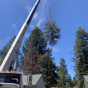 Good View Tree Service - Landscaping Near Me