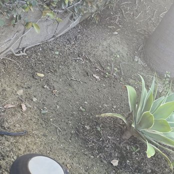 LRG Pools - Cut wire - Pool & Hot Tub Service Near Me - Rancho Cucamonga, California LRG Pools - Cut wire - Pool & Hot Tub Service Near Me - Rancho Cucamonga, California