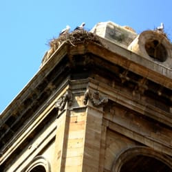 Catedral Nova / New Cathedral, Lleida - Detail of tower (and nesting cranes)