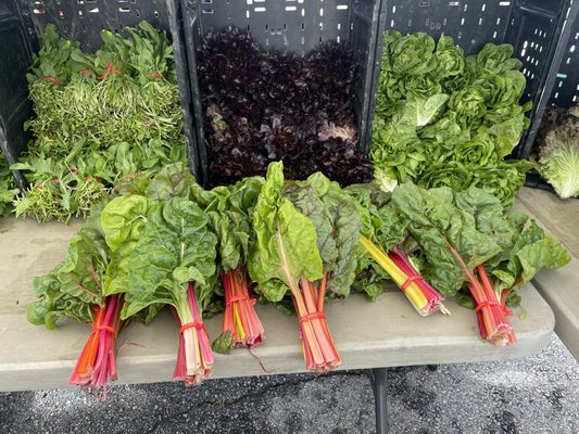 Camarillo Farmers Market by null