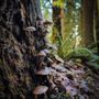 Photo of Cold Creek Natural Area