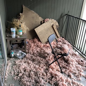 Newport Apartments - Check out the rodent droppings. - Apartments Near Me - Irving, Texas
