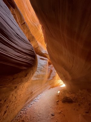 Dreamland Safari Tours by null