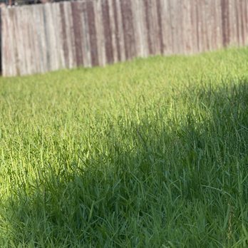 Fresh Lawn Mowing Service - Lawn Services Near Me - Houston, Texas Fresh Lawn Mowing Service - Lawn Services Near Me - Houston, Texas