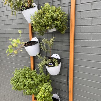 Big Bear Biscuits - Herb wall. Now I need one of these... - Breakfast & Brunch Near Me - Indianapolis, Indiana