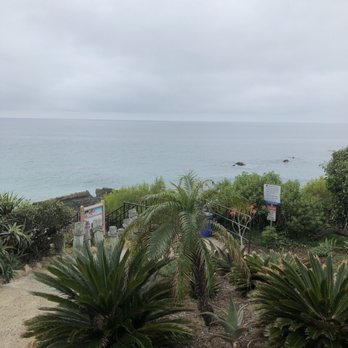 Wood's Cove - Beaches Near Me - Laguna Beach, California Wood's Cove - Beaches Near Me - Laguna Beach, California