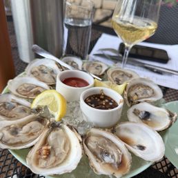 Oysters Oysters