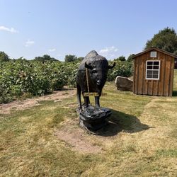 Sunflowers of Sanborn - Buffalo statue!